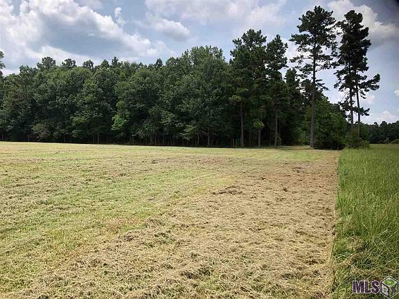 3rd image of 18069 Critter Cove Ln