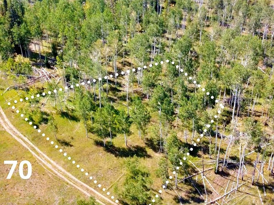 1st image of  Halter Trail