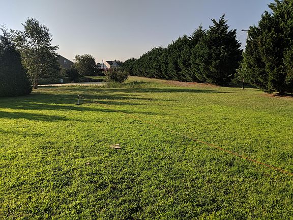 rear yard
