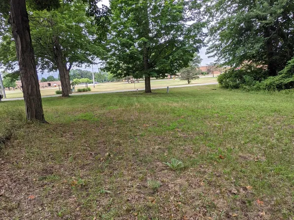 W Walnut St, Saint Charles, MI 48655