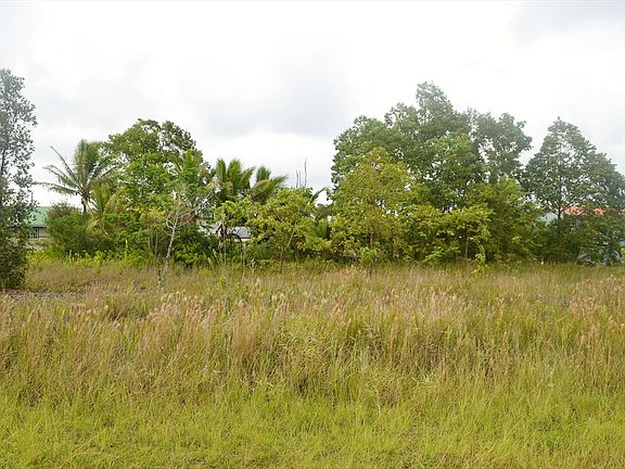 2nd image of Kehauopuna St