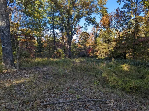 L-6 Mc Cord Bend Rd, Galena, MO 65656