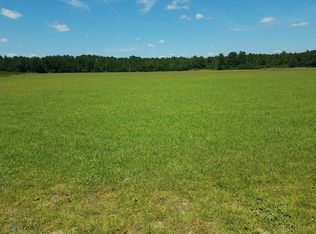 78AC Old Happy Rd, Brooklet, GA 30415