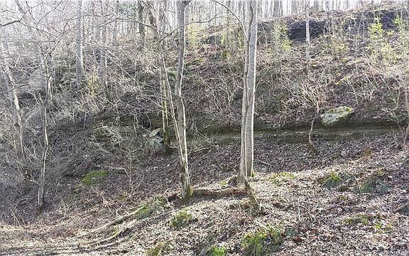 5th image of 0 Buffalo Dr Lot 37