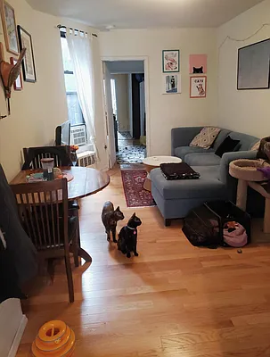 Rented by Compass | media 9