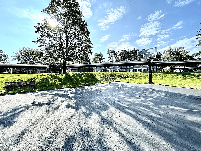 Half-Size Basketball Court