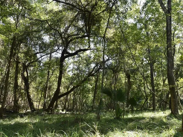 SE 24th Ave, Hawthorne, FL 32640