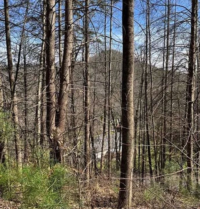 1st image of 81 Larkspur Way