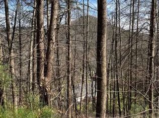 81 Larkspur Way, Mars Hill, NC 28754