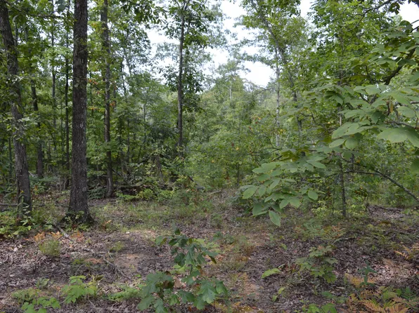 000 E 412, Eminence, MO 65466