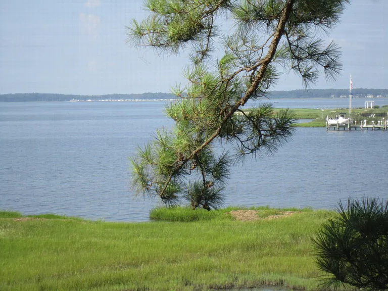 Panoramic View (#3) from Rear Porch