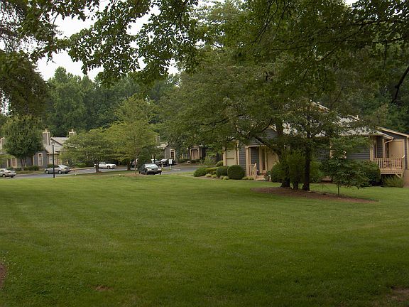 Lush common backyard