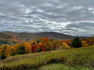 2 W Highland Rd #2, Hobart, NY 13788