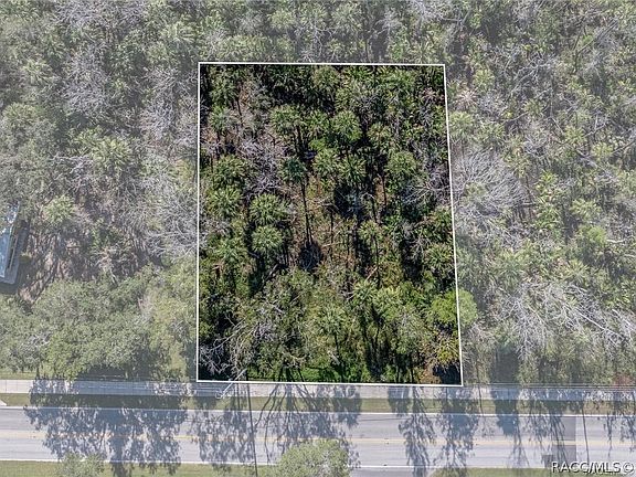 5th image of 10206 W Yulee Dr