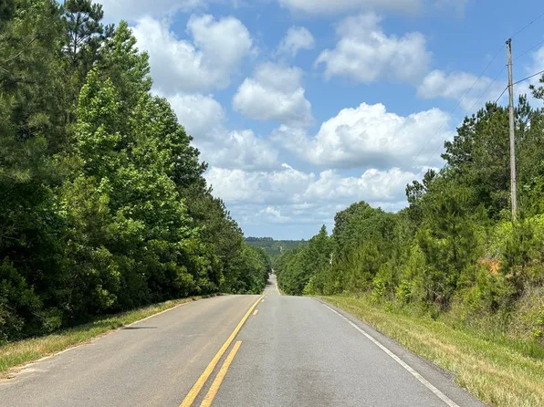 0 Slaughter Rd, Buena Vista, GA 31803