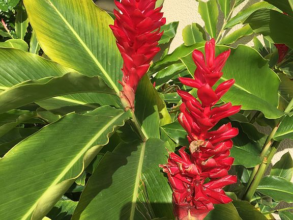 5th image of 3150 Wailea Alanui Dr APT 3803
