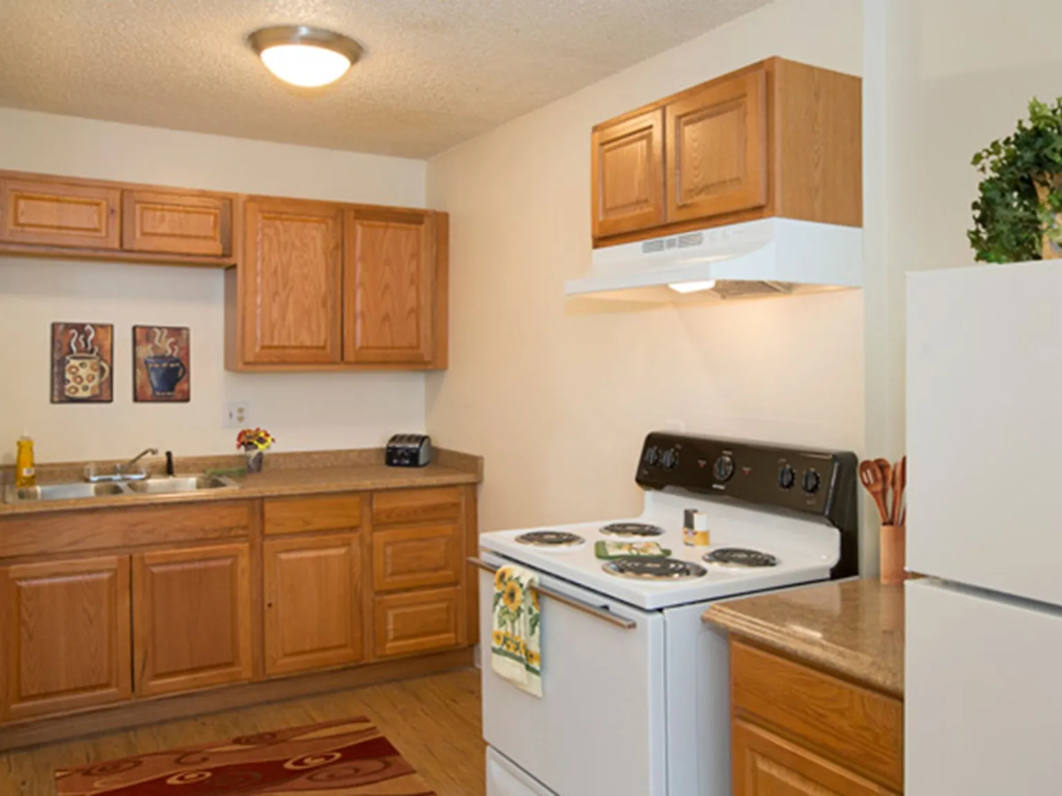 Vista Ridge Apartments — Photo 3
