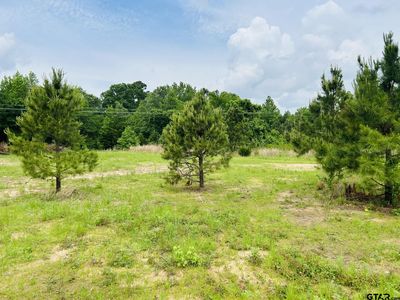 5147 Fm 556, Pittsburg, TX, 75686