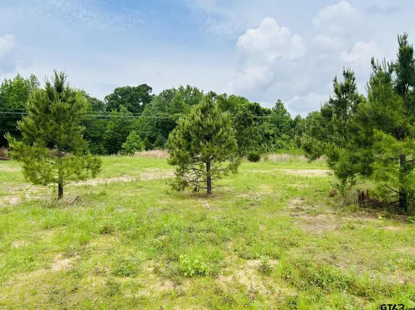 5147 Fm 556, Pittsburg, TX 75686