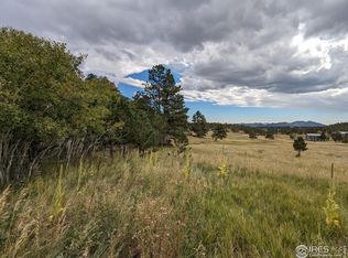 2 Mount Zirkel Ct, Livermore, CO 80536