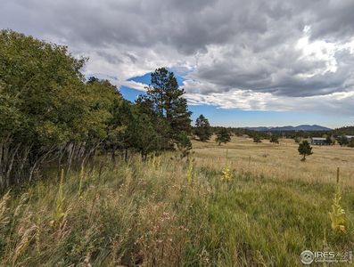 2 Mount Zirkel Ct, Livermore, CO, 80536