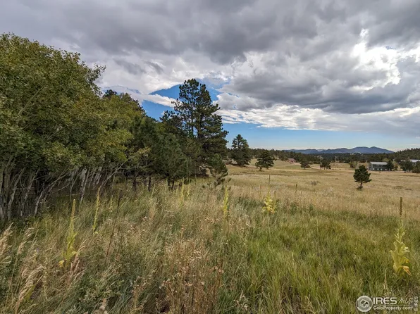 2 Mount Zirkel Ct, Livermore, CO 80536