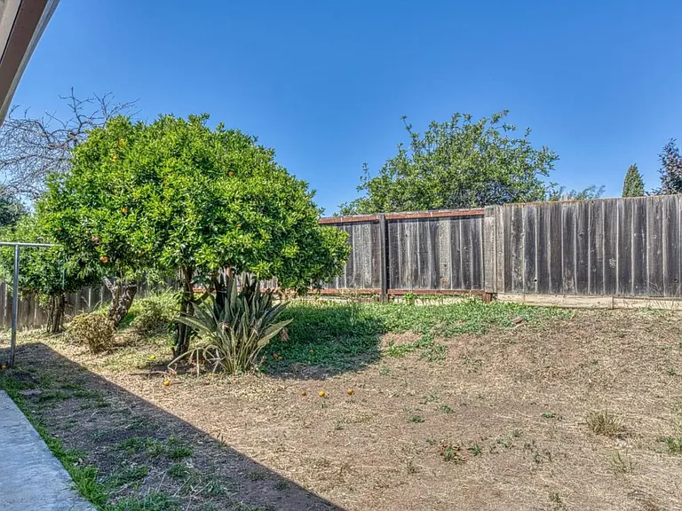 312 Grace Cir — Photo 21