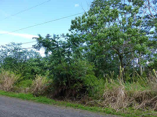 2nd image of 21st Ave