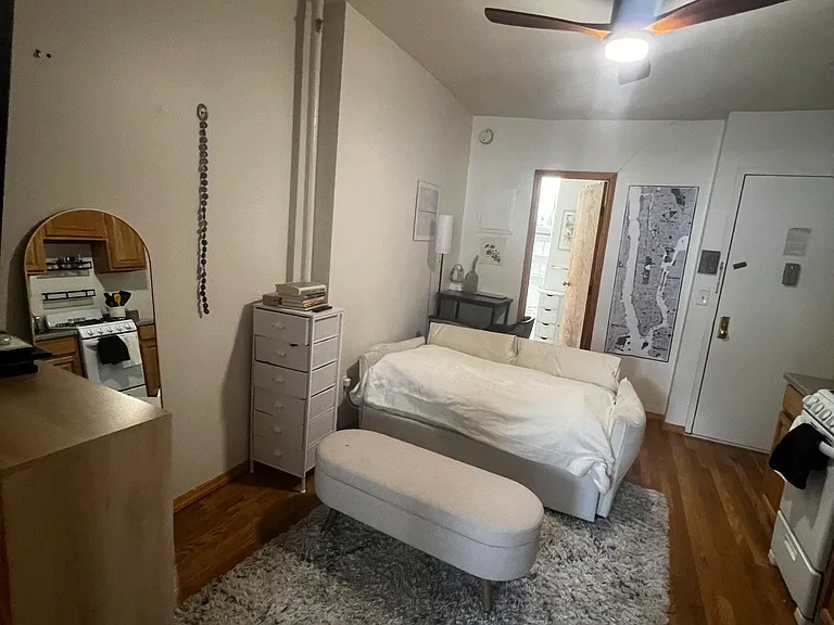 8 Spring St #5FE — Photo 8