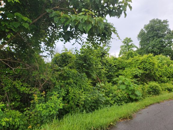 5th image of Panoramic Dr