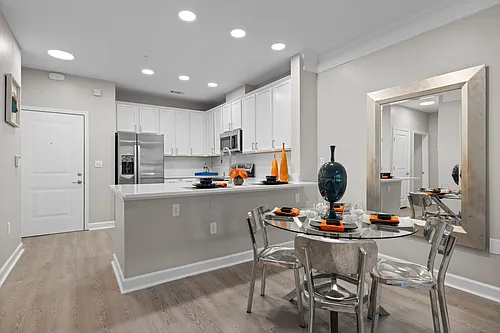 Regency Johns Creek Photo 1