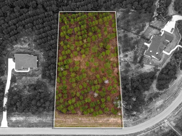 12677 Oak Barrel Rd, Willis, TX 77378