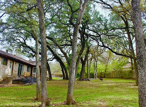 5th image of 201 Canyon Wren Dr