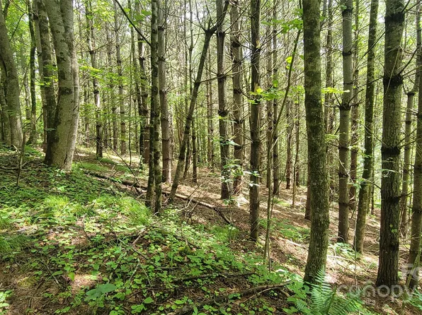 0 Eagle Bridge Rd, Burnsville, NC 28714