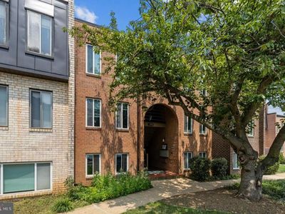 5051 7th Rd S APT 202, Arlington, VA, 22204
