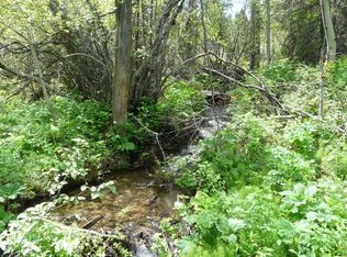 Suzy Dr, Wolf Creek, MT 59648