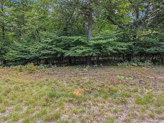 5th image of LOT 3 Pine Ave