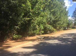 233 Pointe Overlook Dr, Chapin, SC 29036