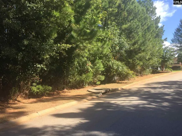 233 Pointe Overlook Dr, Chapin, SC 29036