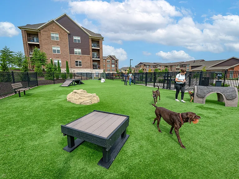 Dog Park with Agility Course