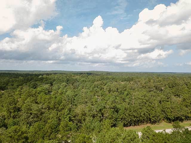1st image of 14 Hickory Holw