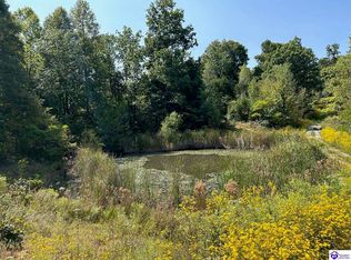 723 Flat Rock Rd, Battletown, KY 40104