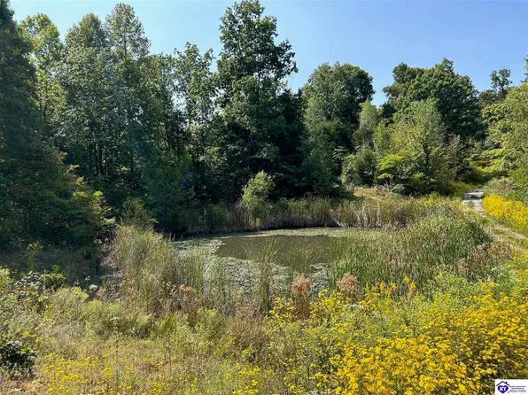723 Flat Rock Rd, Battletown, KY 40104