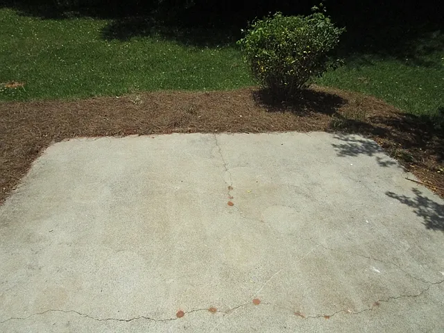 261 Carrington Way — Photo 16