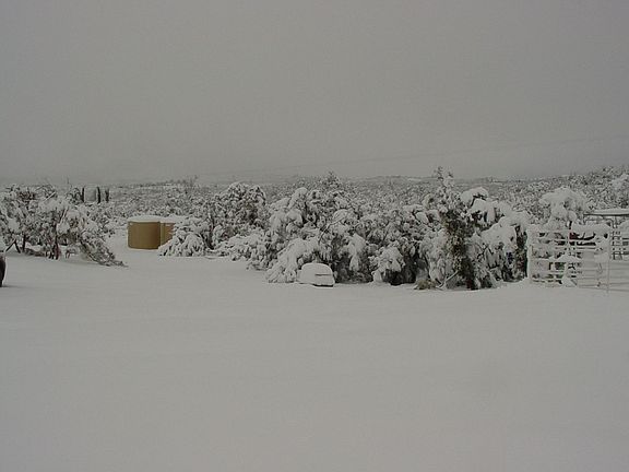 north view (house)