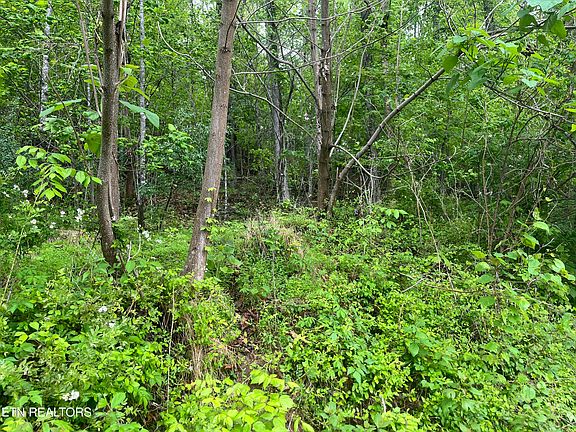 4th image of Valley Creek Rd