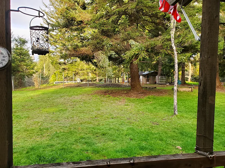 back yard, from the patio