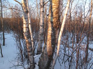 80a Mink Ranch, Lutsen, MN 55612