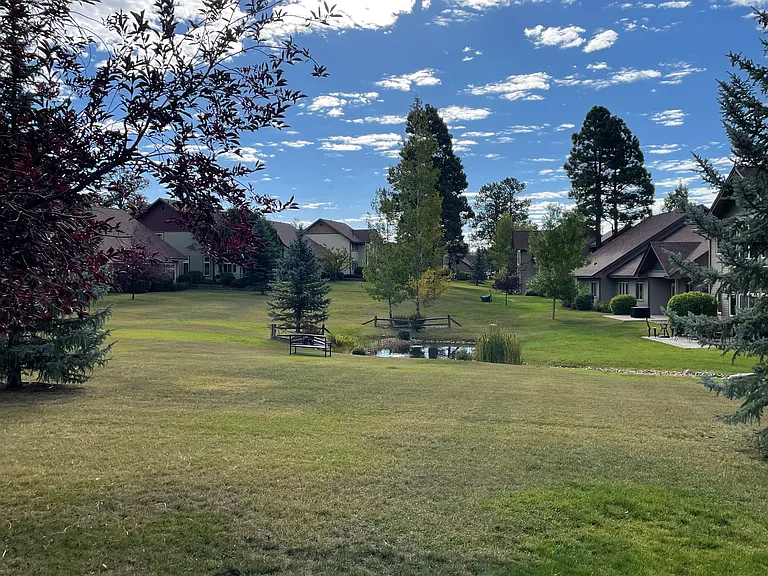Back view from patio