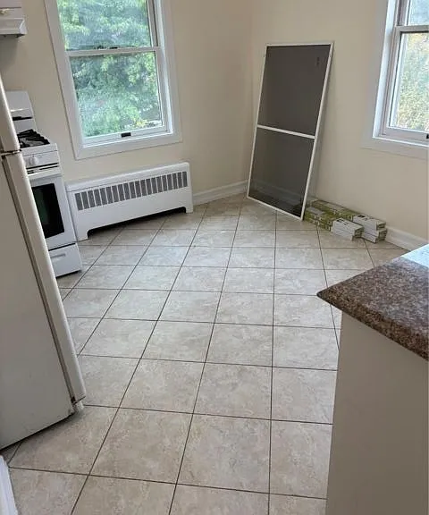 261 Schenck Ave #2 — Photo 4